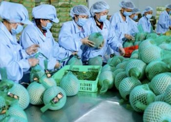 Xuất nhập khẩu duy trì đà tăng trưởng tích cực