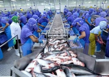 Thâm nhập sâu hơn vào thị trường EU – “Giấc mơ lớn” của nông sản Việt