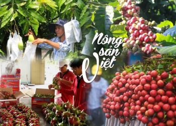 Mở rộng thị trường cho nông sản Việt