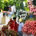 Mở rộng thị trường cho nông sản Việt