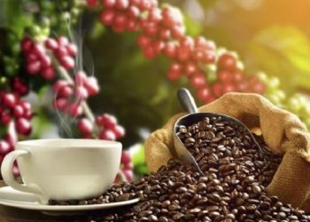 Dư địa xuất khẩu cà phê Việt Nam rộng mở, nhưng chế biến sâu vẫn là “nút thắt”