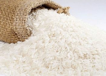 Xuất khẩu gạo Việt Nam năm 2025: Triển vọng vượt ngưỡng 8,2 triệu tấn