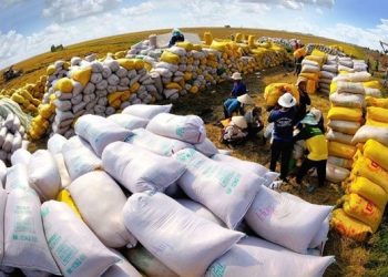 “Vượt mặt” Thái Lan, Việt Nam thành Á quân xuất khẩu gạo thế giới