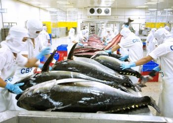 Doanh nghiệp thủy sản gặp khó từ quy định mới của Mỹ