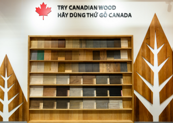 Canadian Wood Việt Nam giới thiệu giải pháp gỗ mềm bền vững tại Triển lãm Vietnamwood 2025