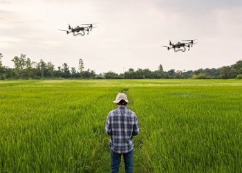 Mở rộng tài chính xanh cho doanh nghiệp đầu tư xanh