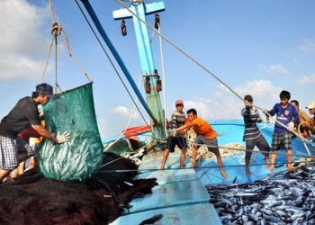 Ngành Thủy sản cần bứt phá để chinh phục mục tiêu xuất khẩu