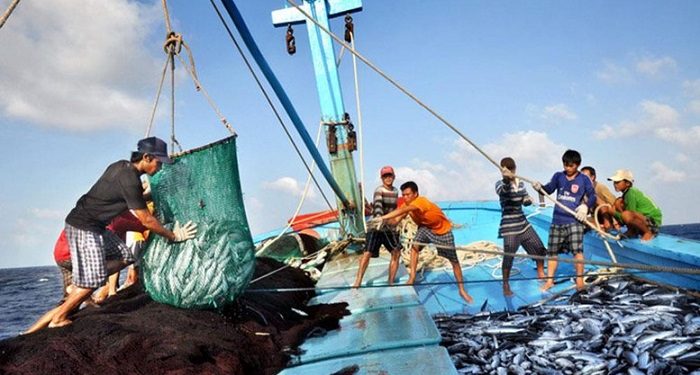 Ngành Thủy sản cần bứt phá để chinh phục mục tiêu xuất khẩu