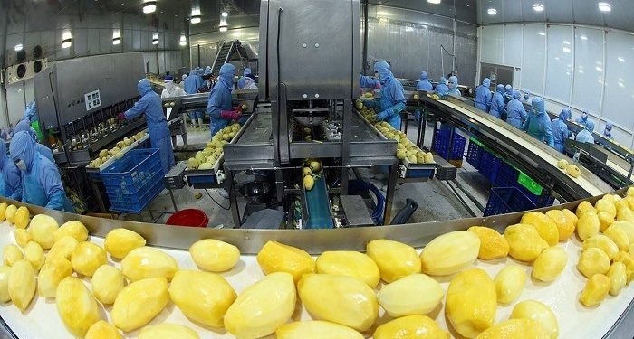 Xuất khẩu rau quả lập kỷ lục mới, lần đầu vượt 1 tỷ USD trong một tháng