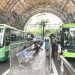 Thành phố tăng chuyến xe buýt, kéo dài thời gian hoạt động metro số 1 dịp Quốc khánh
