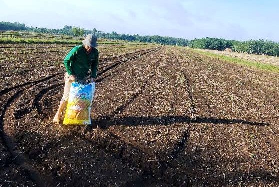 Giải nén áp lực chi phí sản xuất nông nghiệp
