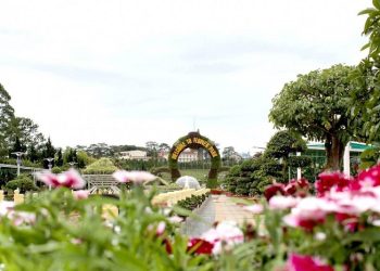 Festival Hoa Đà Lạt 2026: Dấu ấn đầu tiên của Lâm Đồng mới