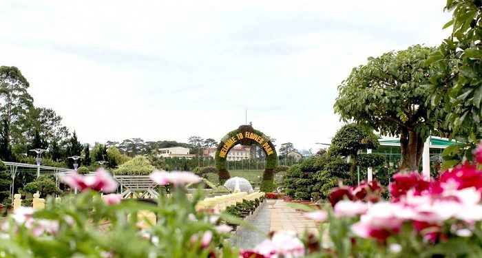 Festival Hoa Đà Lạt 2026: Dấu ấn đầu tiên của Lâm Đồng mới